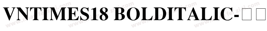 VnTimes18 BoldItalic字体转换